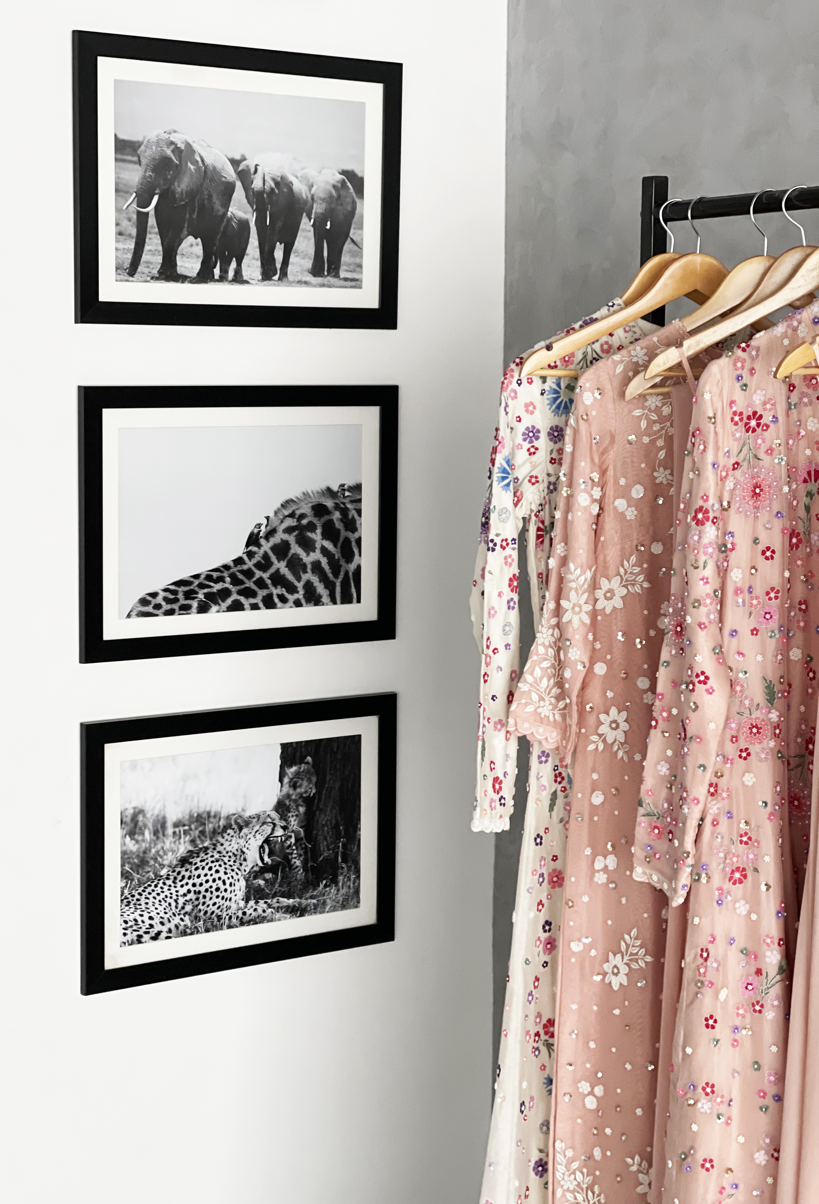 Wildlife meets couture Wildlife meets couture